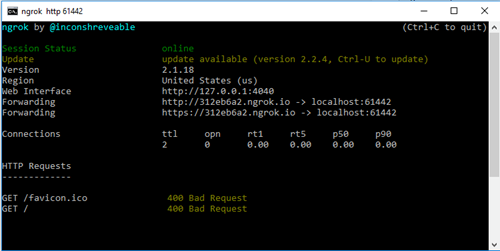 NGrok Command Prompt